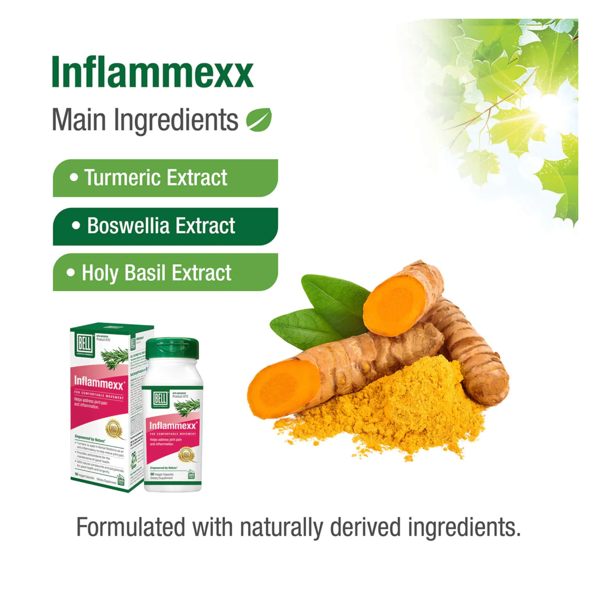 InflameXX 90C - Premium Quality Inflatable Cushion for Back Pain Relief, Home & Office Comfort - Ideal for Chairs, Sofas, and Car Seats