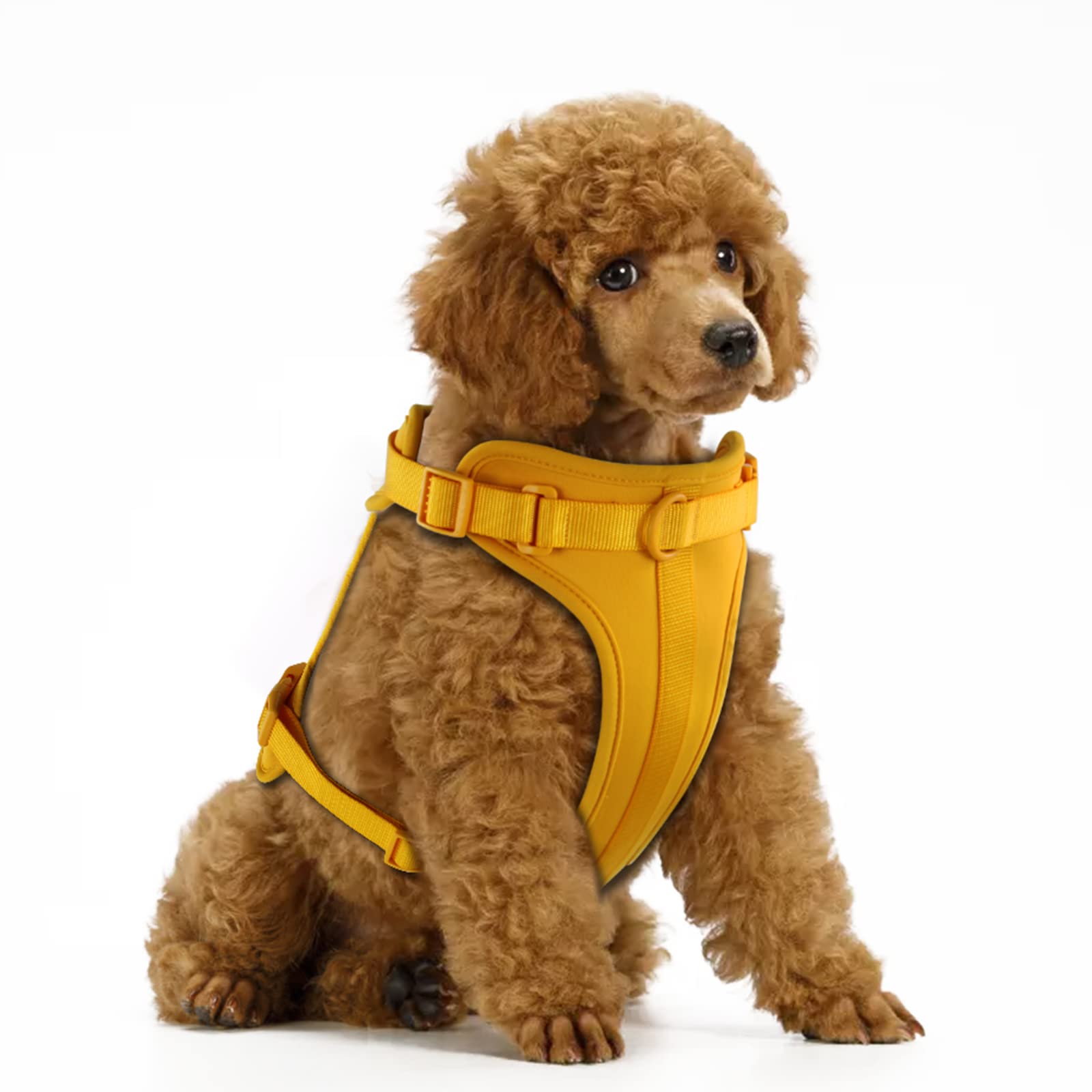 No Pull Lightweight Dog Harness - Adjustable Breathable Mesh Pet Vest with Soft Padding for Small Medium Large Dogs (S, Daylily Yellow) | Comfortable Walking, Training & Outdoor Adventures