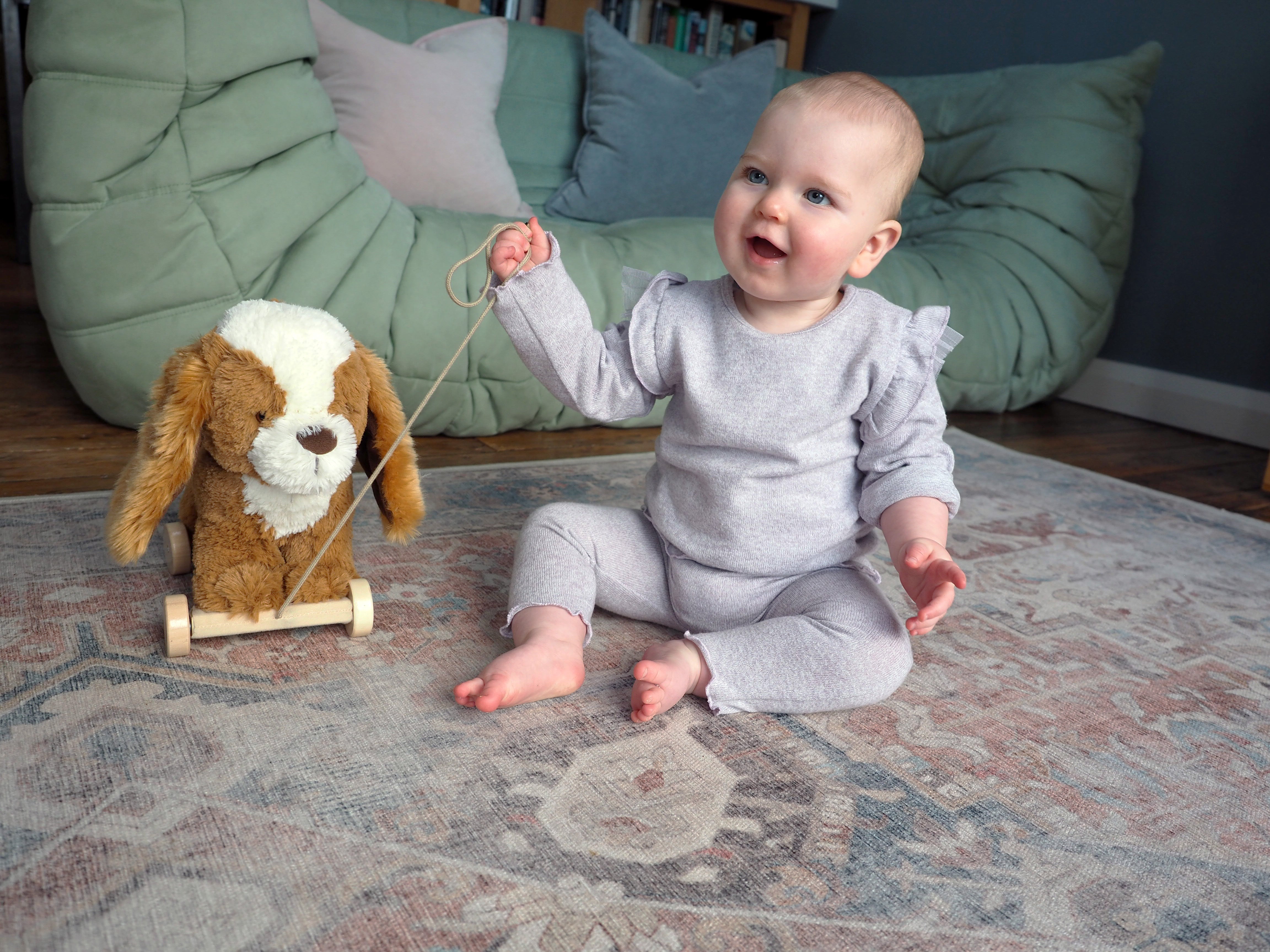 Peanut Pup Pull Along Toy - Interactive Dog Toy for Small & Medium Dogs - Perfect for Indoor & Outdoor Playtime