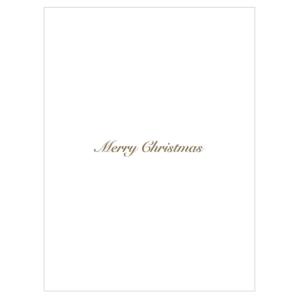 Religious Christmas Cards Box Set - 15 Foil Stamped Holiday Greeting Cards with Envelopes, Madonna and Child Art, Inside Message 