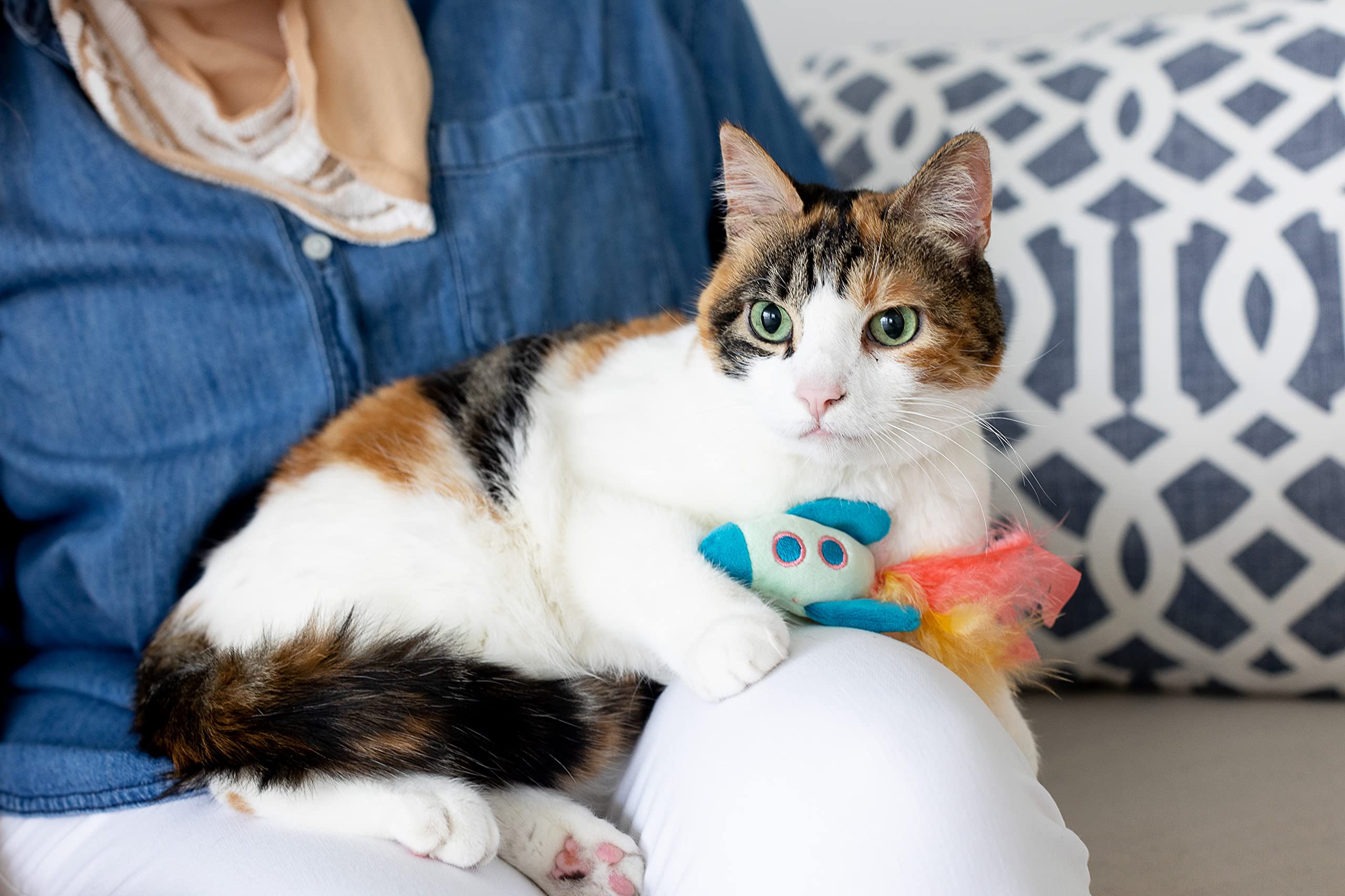 Pawstronaut Cat Toy Set with Feather Teaser & Rattle - Fun Playtime for Cats