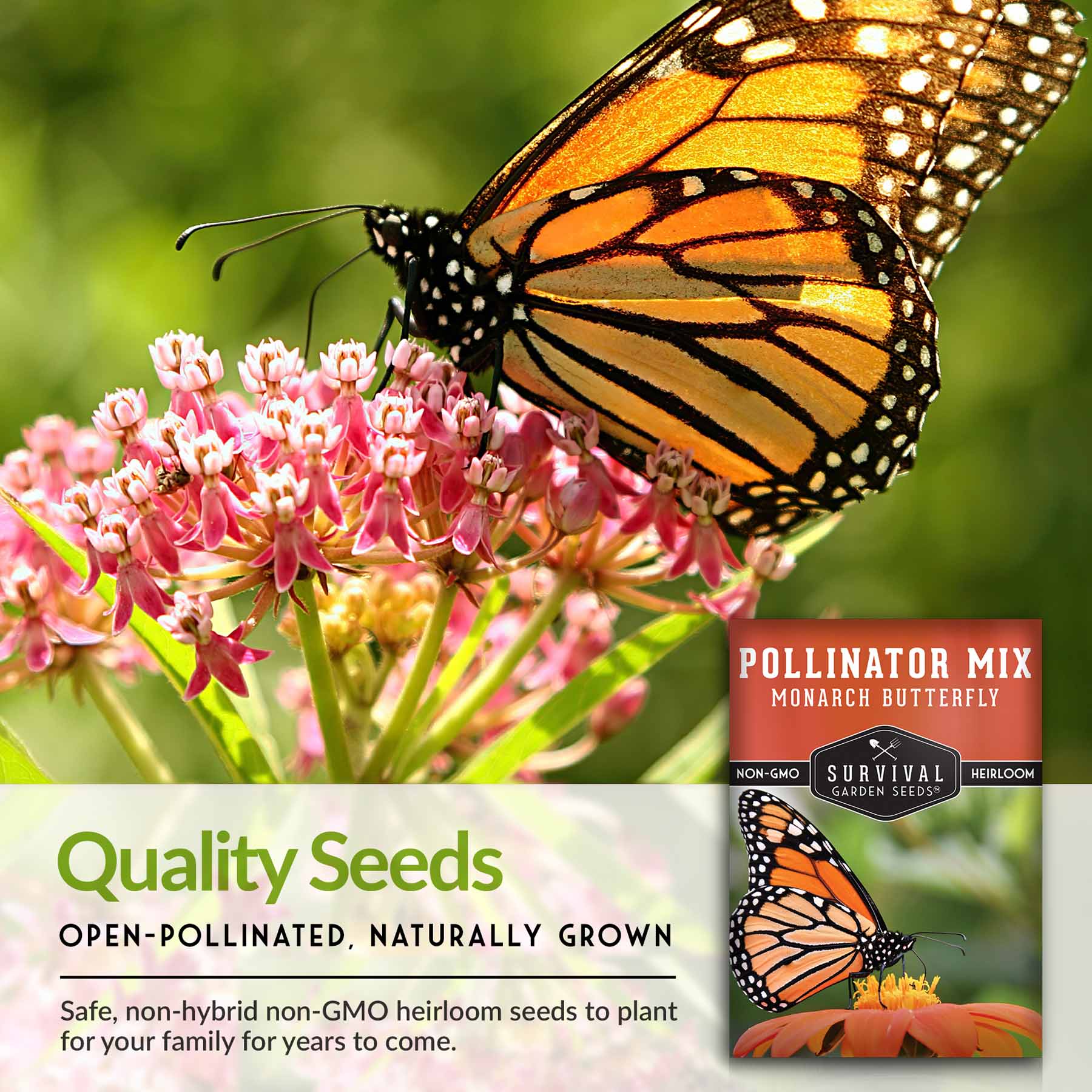 Pollinator Flower Seed Mix for Attracting Monarch Butterflies, Bees & Hummingbirds - Wildflower Garden Kit for Backyard, Patio & Pollinator-Friendly Landscaping
