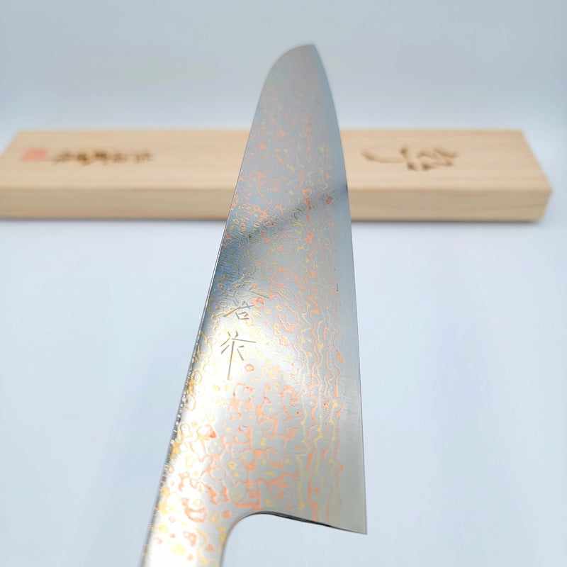 Takeshi Saji Rainbow VG10 240mm Gyuto Japanese Chef Knife with Rosewood Handle & White Top - Premium Kitchen Knife for Professional Chefs & Home Cooking Enthusiasts