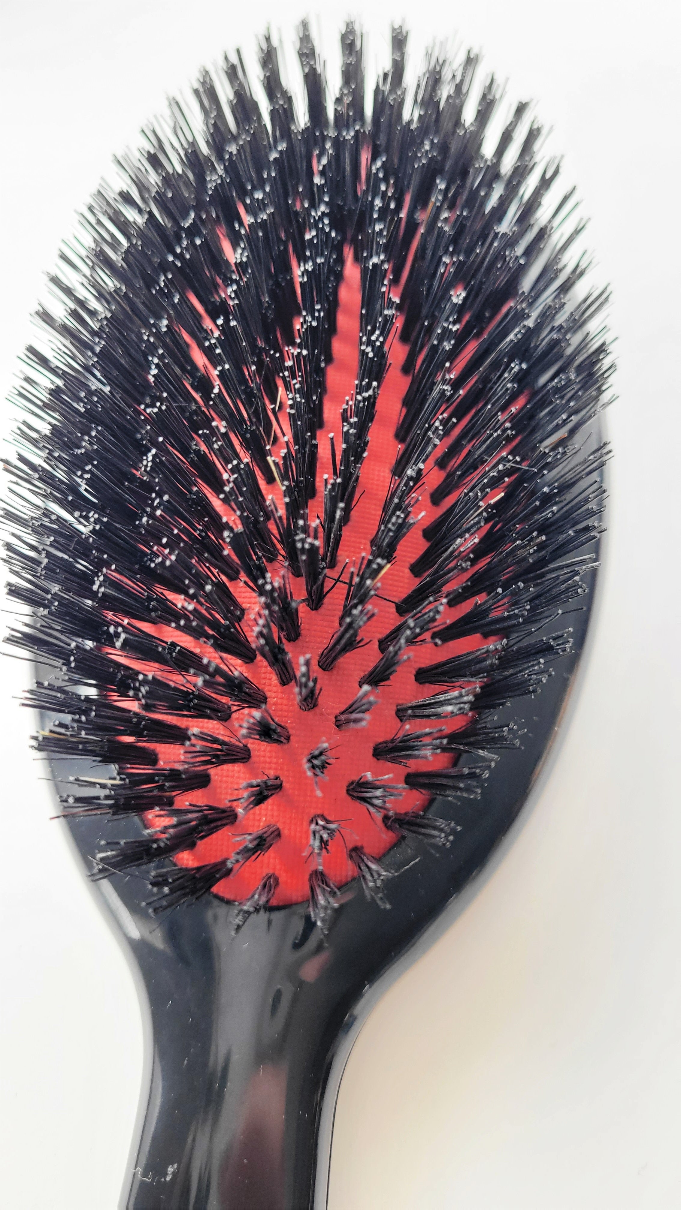 Janeke Pure Bristle Hair Brush - Large Detangling Brush for Thick Hair | Perfect for Daily Styling & Smoothing at Home or Salon