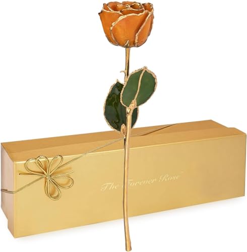 November (Birthstone Rose)
