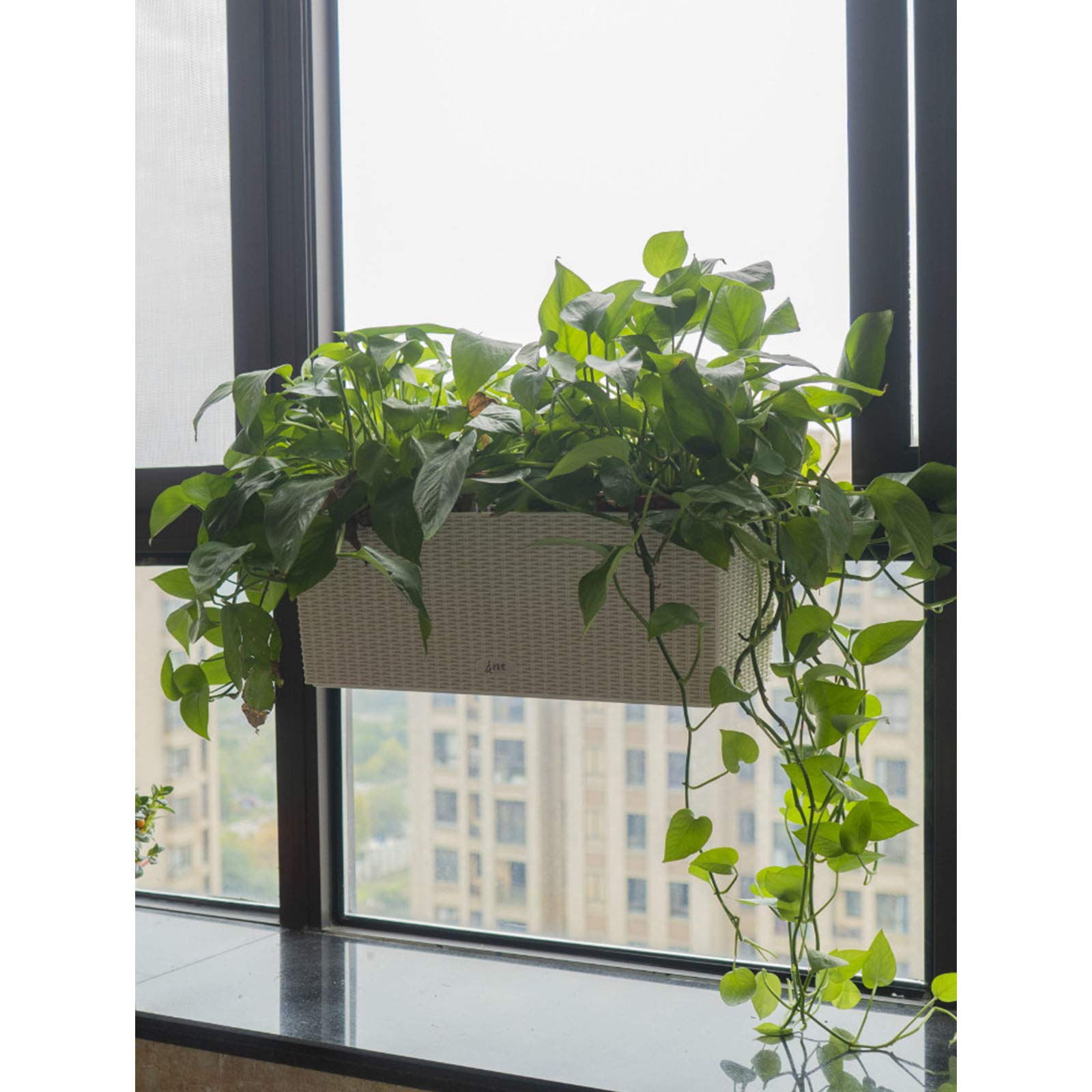 White 50cm Balcony Hanging Rattan Planters - Wicker Railing Planter with Zinc Pots, Hanging Window Box for Outdoor Flowers & Plants | Perfect for Deck, Patio & Garden Decor