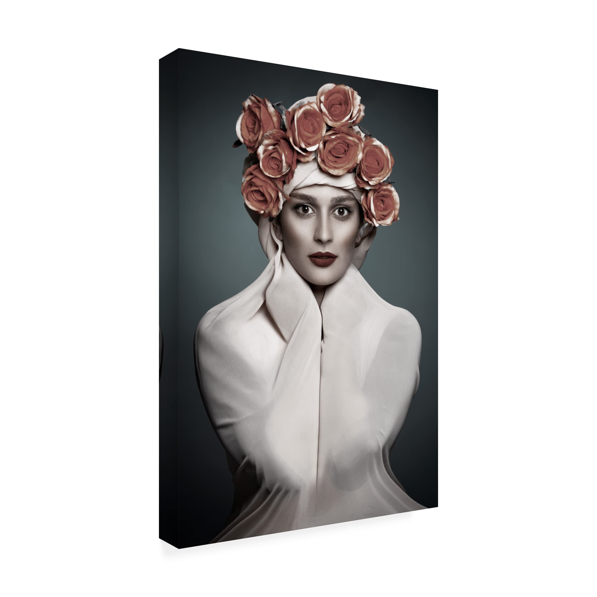 Trademark Fine Art 'Eli' Canvas Wall Art by Mehdi Baziar - Modern Abstract Painting for Living Room, Bedroom & Office Decor
