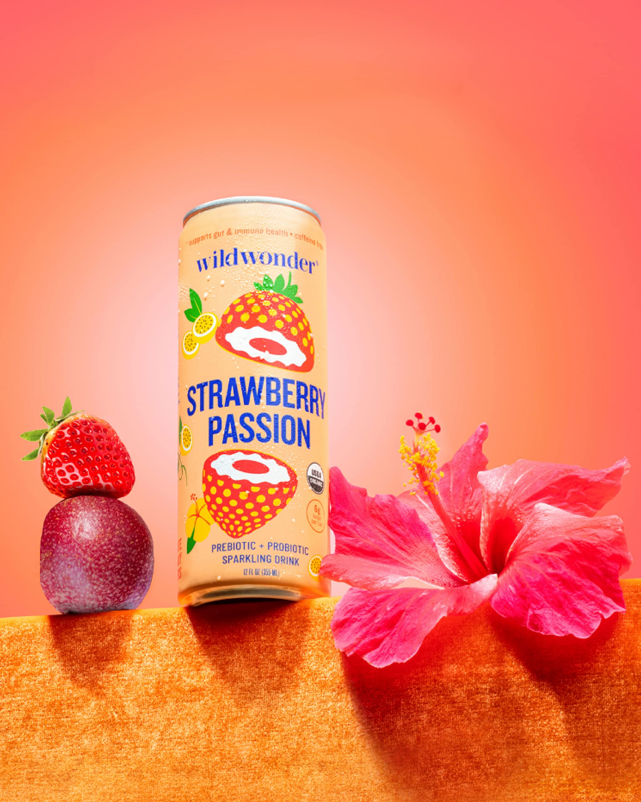Wildwonder Sparkling Probiotic Juice Drink - Gut Health, Immunity & Digestion Support with 5g Fiber & Live Probiotics | Caffeine-Free, Organic, Vegan, Low Sugar & Low Calorie | 12-Pack 12oz Cans | Perfect for Gut Health, Weight Management & Daily Wellness Routine