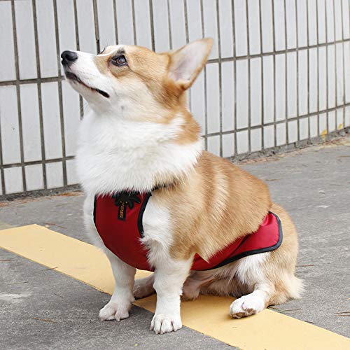 Waterproof Dog Belly Vest - Warm Pet Belly Cover Protector Harness for Small Dogs, Puppies & Corgis - Ideal for Short-Legged Female Dogs in Cold Weather & Outdoor Adventures