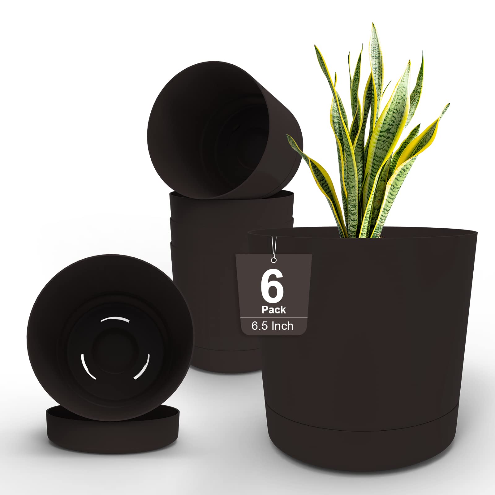 HEMOPOW 6.5 Inch Indoor Plant Pots with Drainage Holes & Saucers - 6 Pack Plastic Flower Pots for Orchids, Succulents, Cactus & House Plants - Perfect for Home Decor, Office Desk & Garden Use - Brown