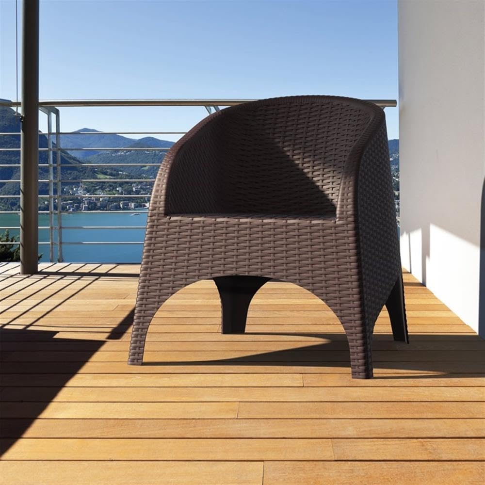 Brown Resin Wicker Patio Chairs Set of 2 - Outdoor Garden Furniture for Poolside, Deck, Porch & Backyard Relaxation