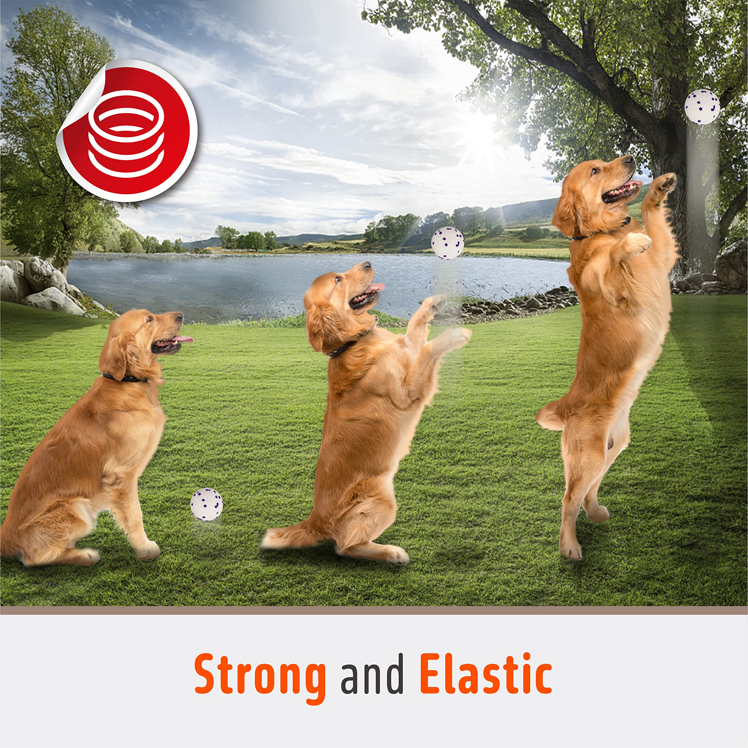 Durable Dog Chew Toys for Aggressive Chewers - 4 Pack Tennis Ball Set for Large, Medium Dogs & Puppies - Interactive Fetch, Teething Molar & Water Toys - Perfect for Outdoor Play, Training & Gifts (White)