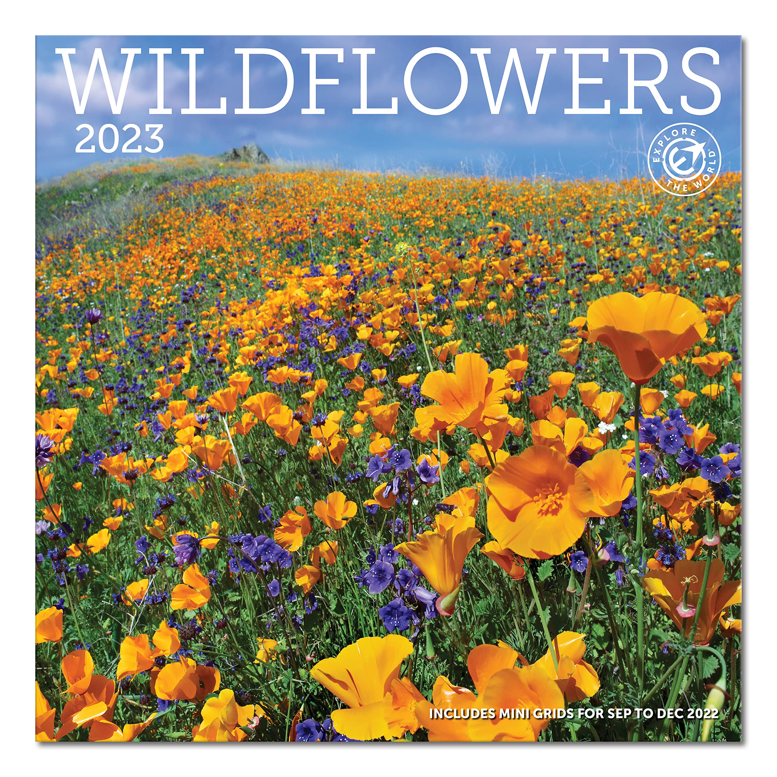 2023 Wildflowers Wall Calendar - 12