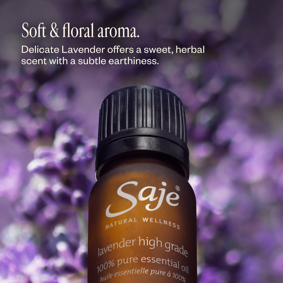 Premium Lavender Essential Oil 10ml - 100% Pure & Natural for Aromatherapy, Relaxation & Skin Care