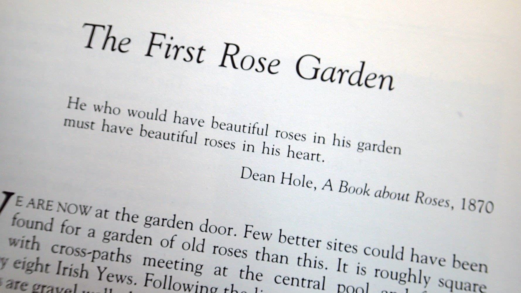 Rose Gardening Guide: Tips & Techniques for Beautiful Blooms | Perfect for Home Gardens & Landscaping
