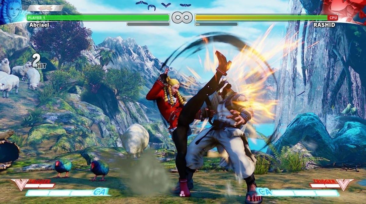 Capcom Street Fighter V - PlayStation Hits Edition for PS4 | Fighting Game for Competitive & Casual Players | Perfect for Tournaments & Home Gaming