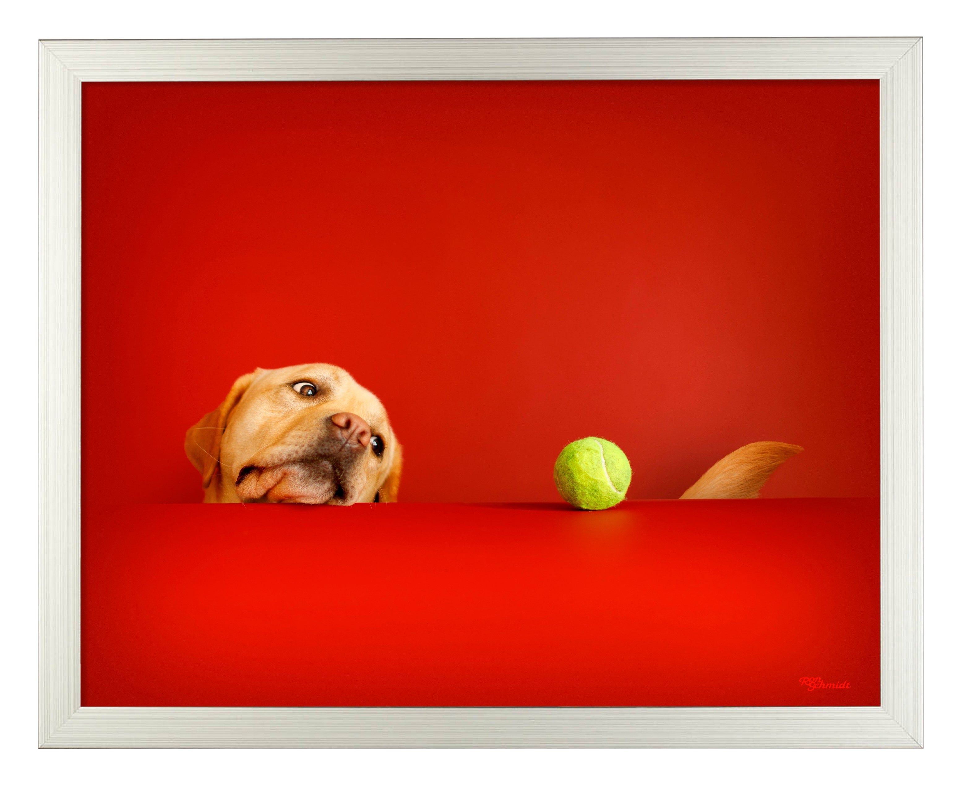 Crimson Art Prints - High-Quality Wall Decor for Home & Office | Perfect for Living Room, Bedroom & Gifts