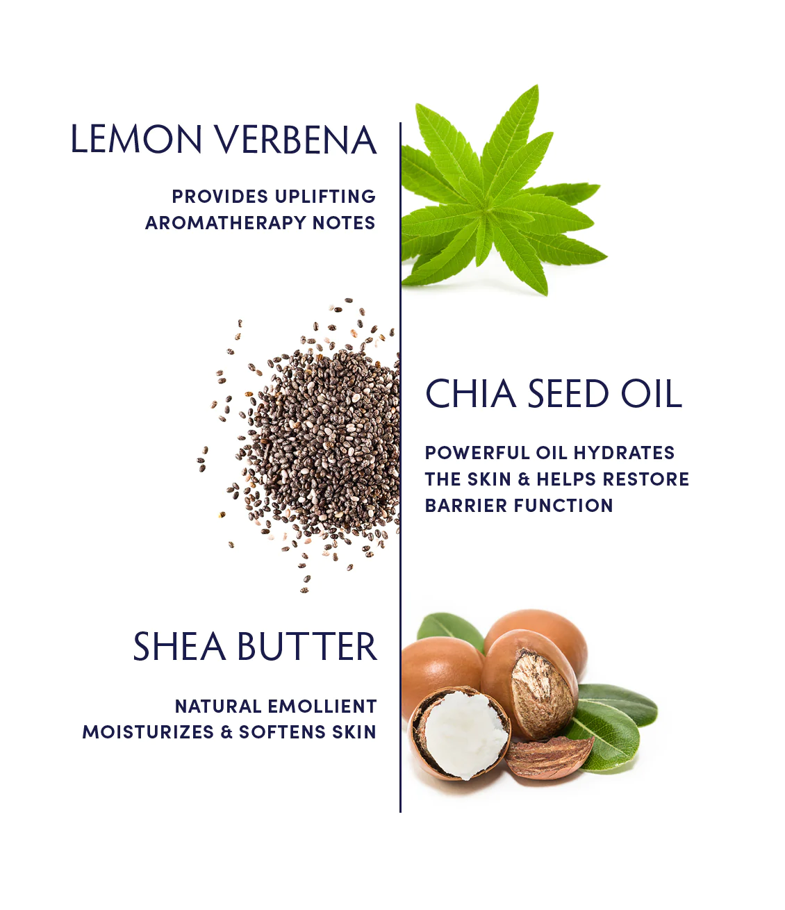 Naturopathica Lemon Verbena Omega 3 Hand Cream - Moisturizing & Nourishing for Dry Skin - Perfect for Winter Care, Office Use & Travel