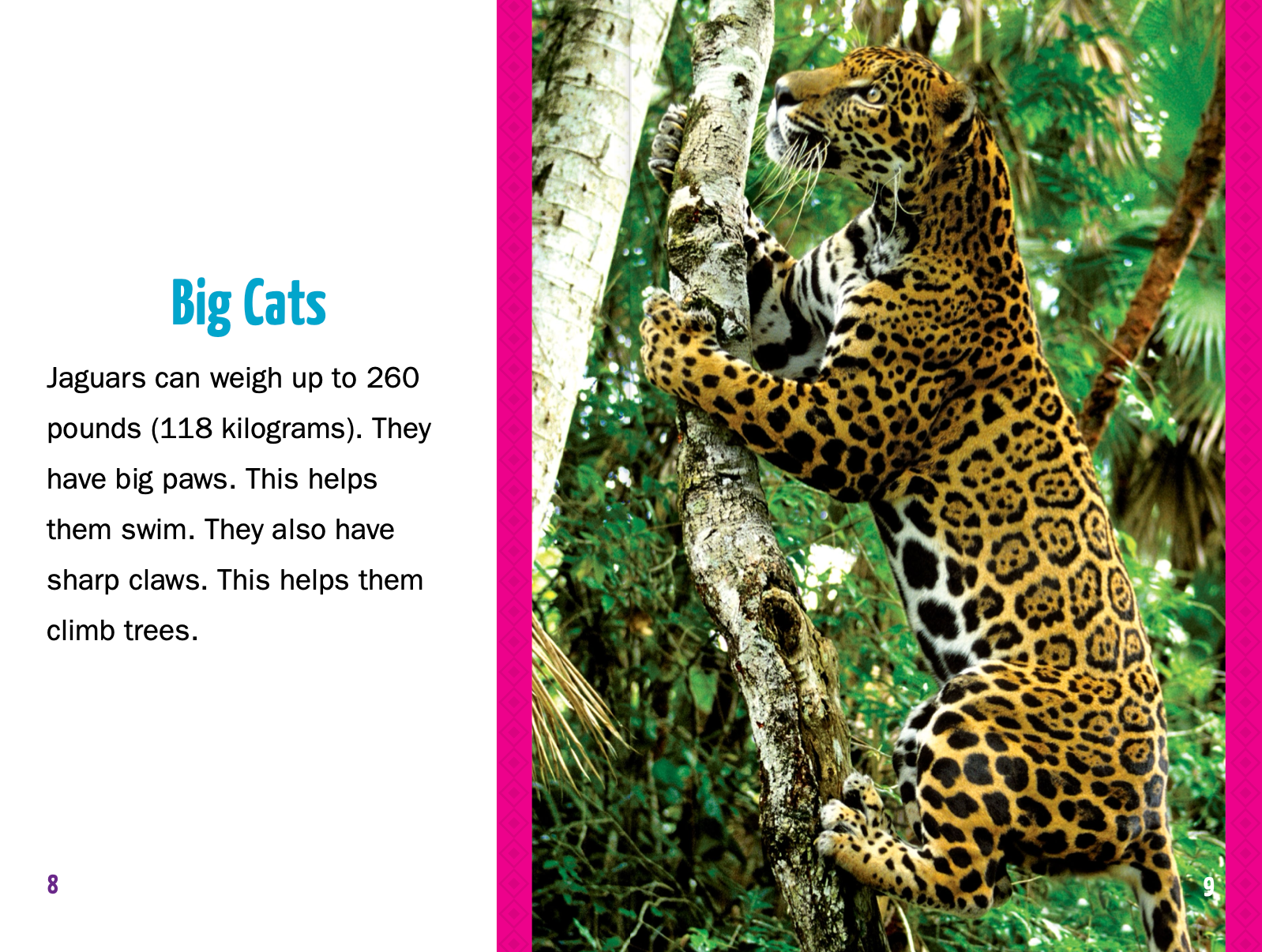 Jaguar Wild Cats - Realistic Stuffed Animal Plush Toy for Kids & Collectors | Perfect for Gifts, Room Decor, and Jungle Themed Parties