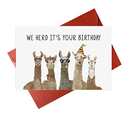 Llama Birthday Card