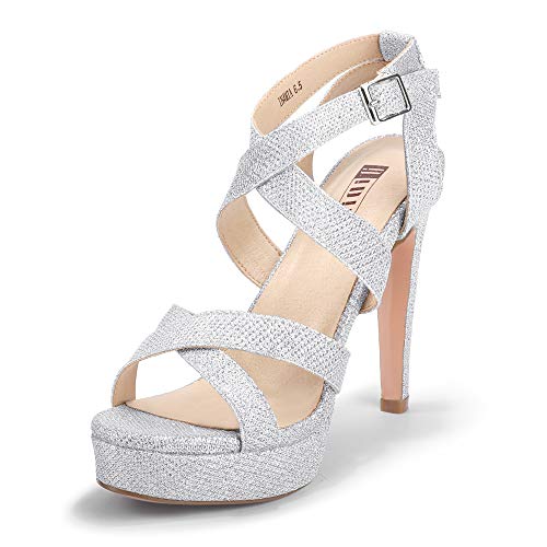 Silver Glitter