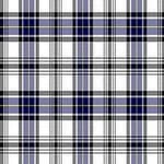 Hannay Tartan Plaid Scarf - Soft Wool Blend Wrap for Men & Women | Perfect for Winter Fashion, Outdoor Activities & Scottish Heritage Events