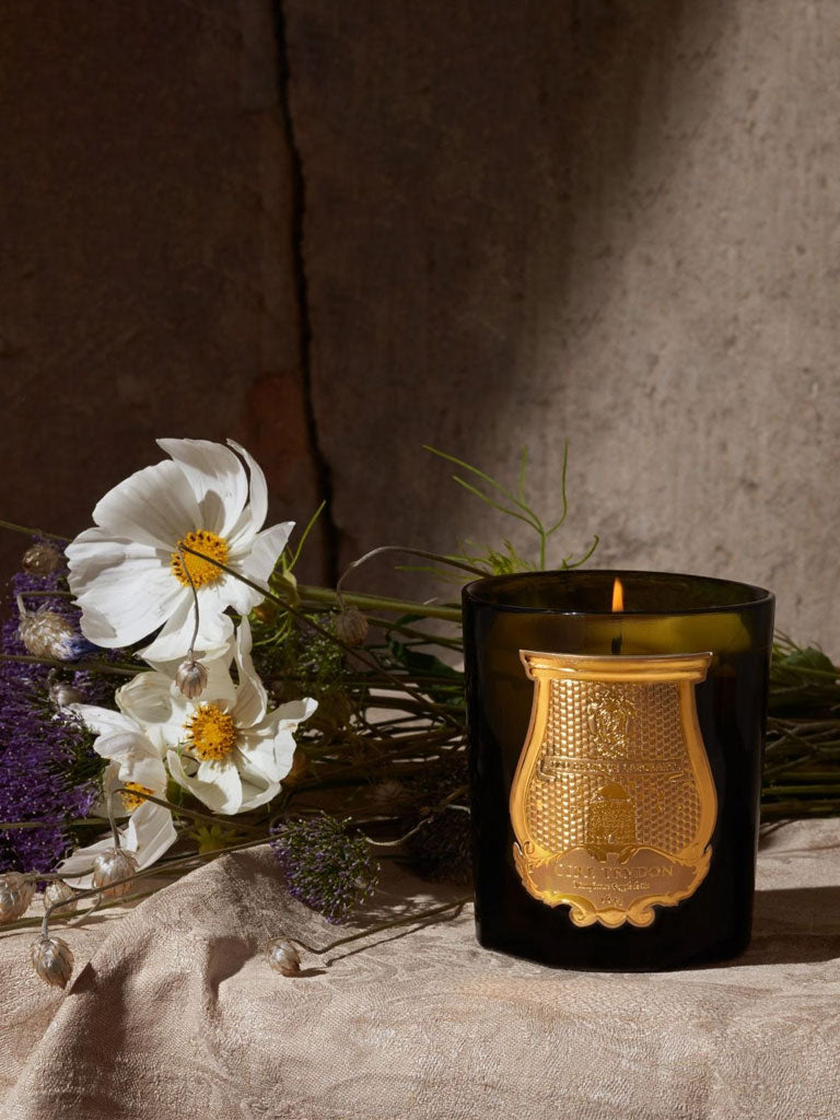 Trudon Solis Rex Luxury Scented Candle - Premium Soy Wax Candle with Royal Fragrance for Home Decor, Relaxation & Gift Giving - Perfect for Living Rooms, Bedrooms & Spa Settings