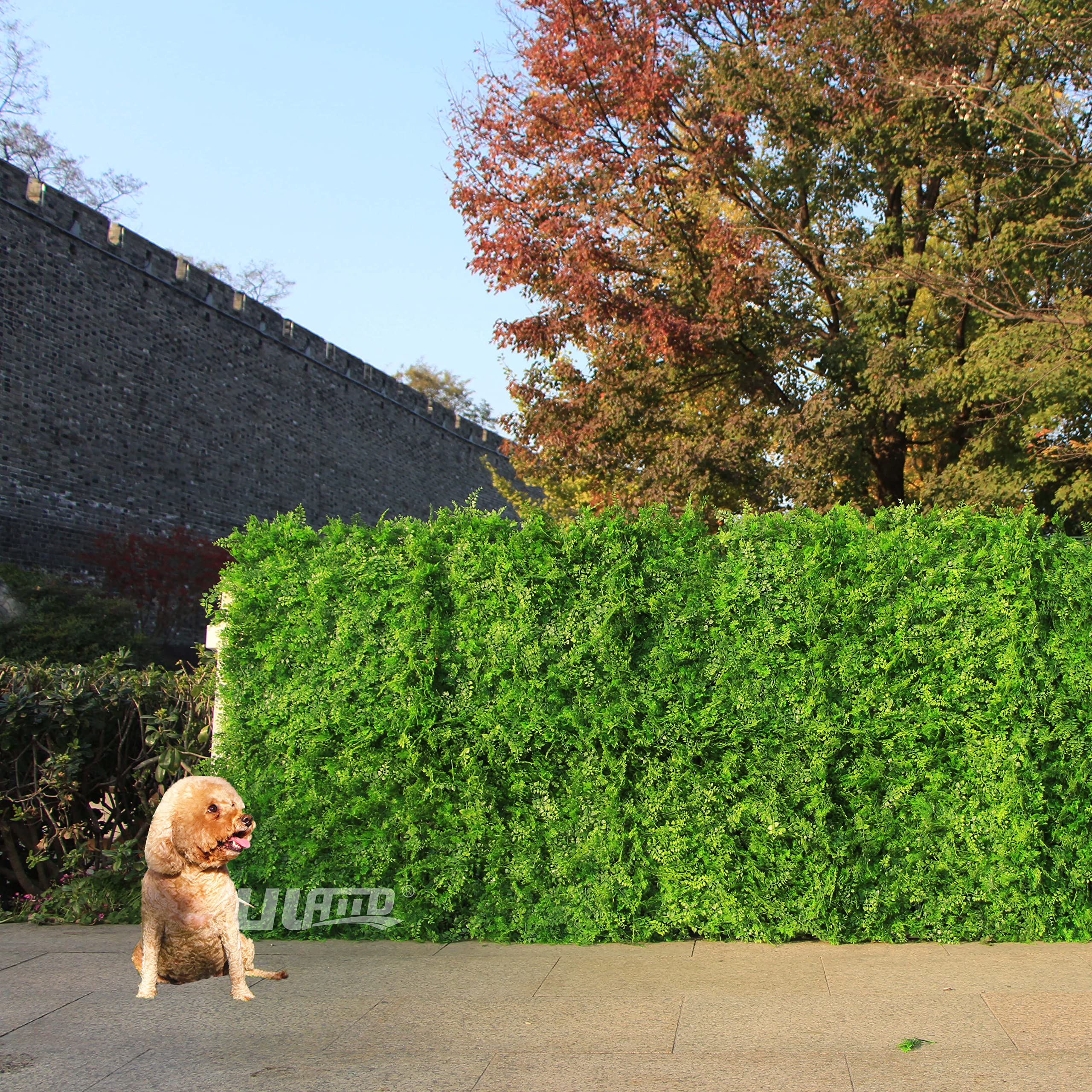 Premium Artificial Boxwood Hedge Panels - 12 Pack (32 Sq Ft) for Indoor & Outdoor Privacy Fence, Wall Decor, and Sound Diffusion | UV-Resistant Fake Greenery for Patio, Garden, Balcony, Office & Event Decoration