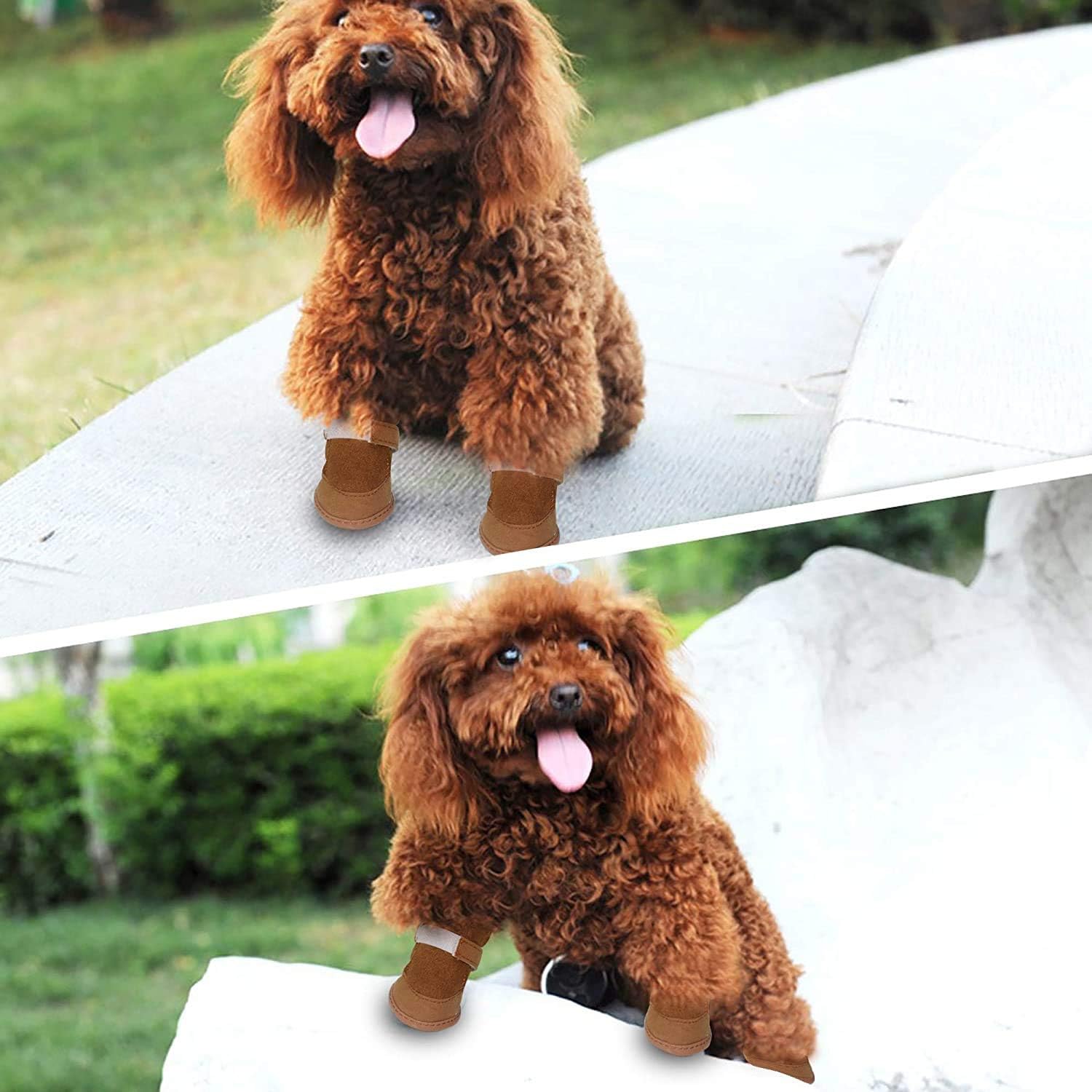 Payanwin Dog Boots for Winter - Anti-Slip Snow Shoes with Warm Lining for Small Dogs (Size M, Brown) | Perfect for Snowy Walks, Rainy Days & Outdoor Adventures