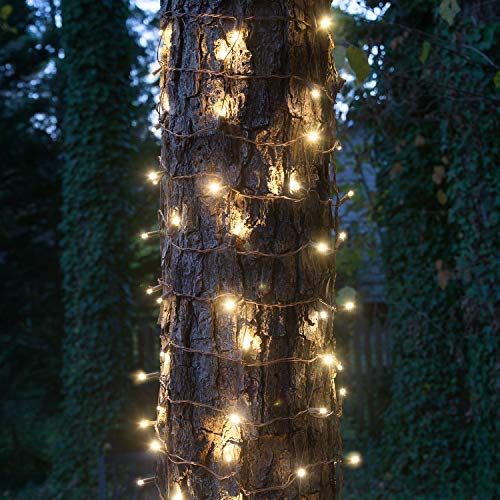 Warm White Lights, Brown Wire