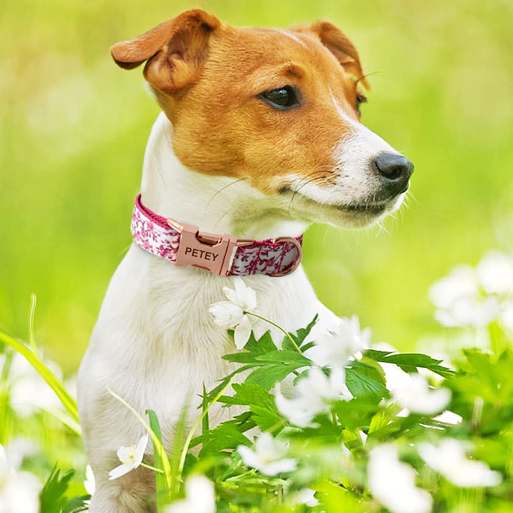 Custom Engraved Dog Collar with Name & Phone - S Pink for Small Pets - Perfect for Walks & ID Safety
