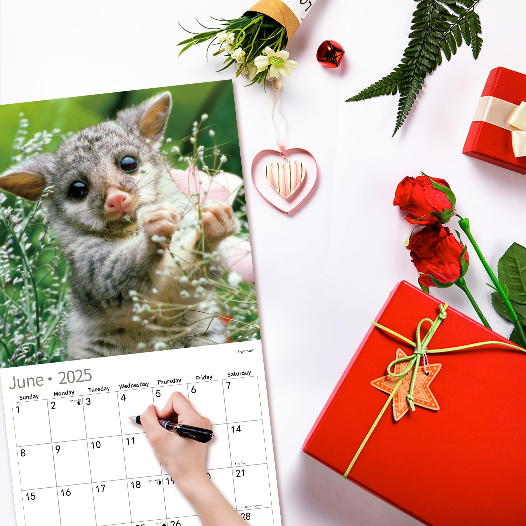 2025 Wall Calendar with Cute Baby Animals - January to December 2025, 12