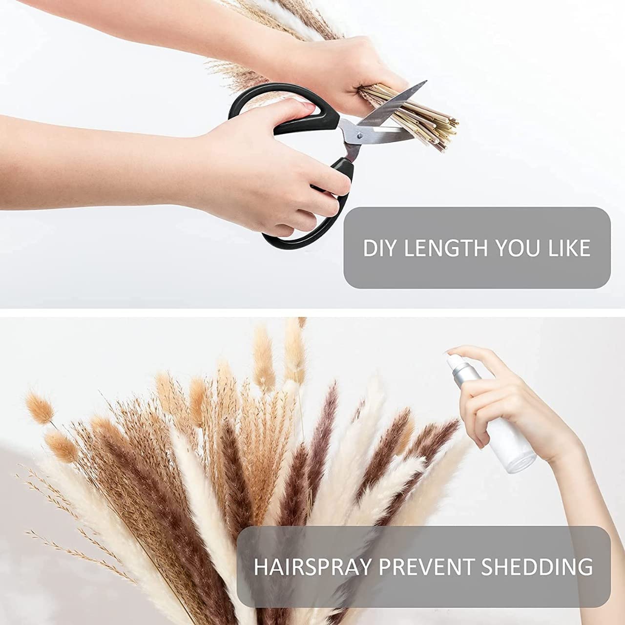 40 Pcs Natural Dried Pampas Grass 18