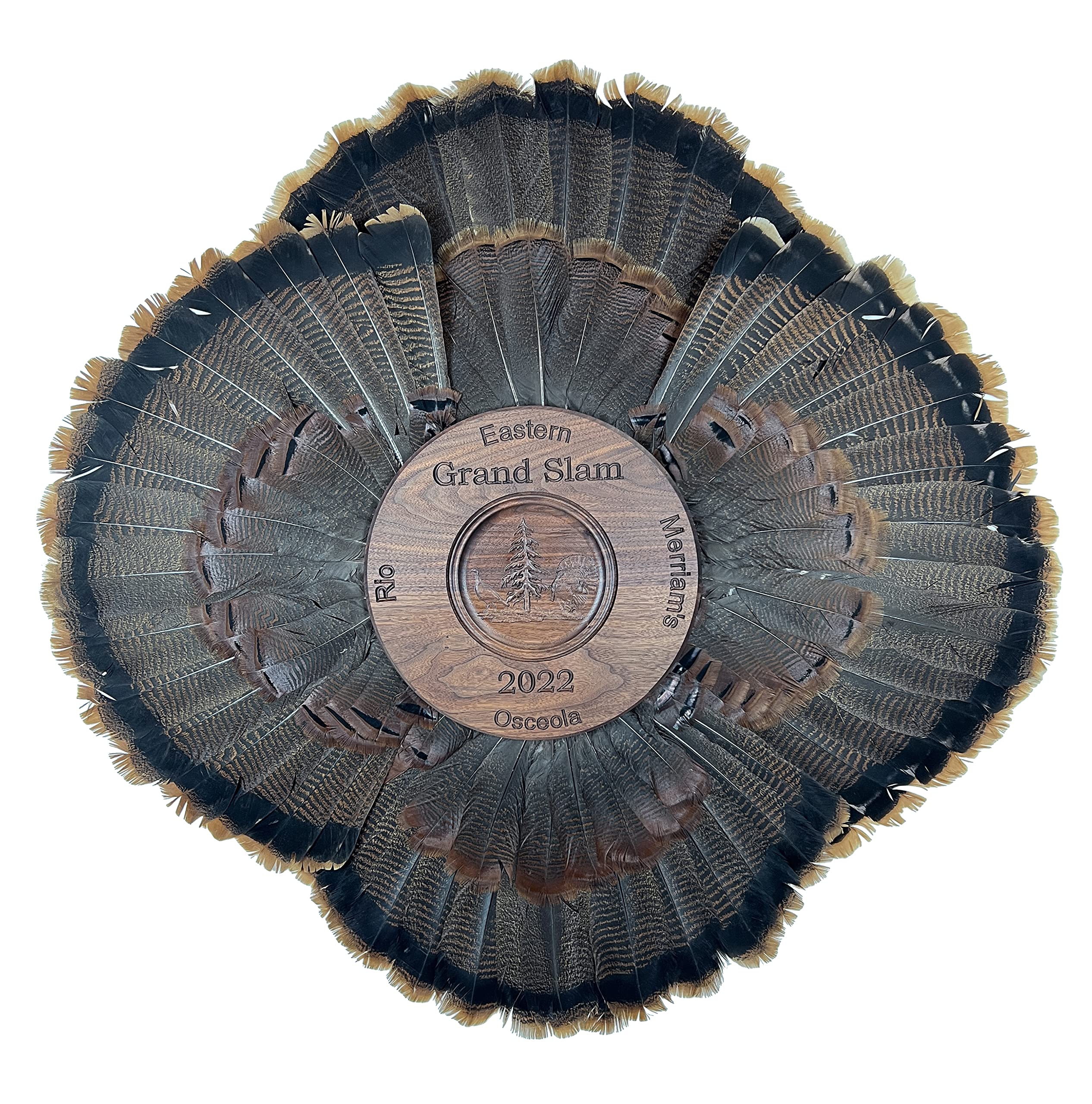 Custom Grand Slam Turkey Tail Display for All 4 Fans - Perfect for Sports Memorabilia Collections, Man Cave Decor, and Baseball Fan Gifts