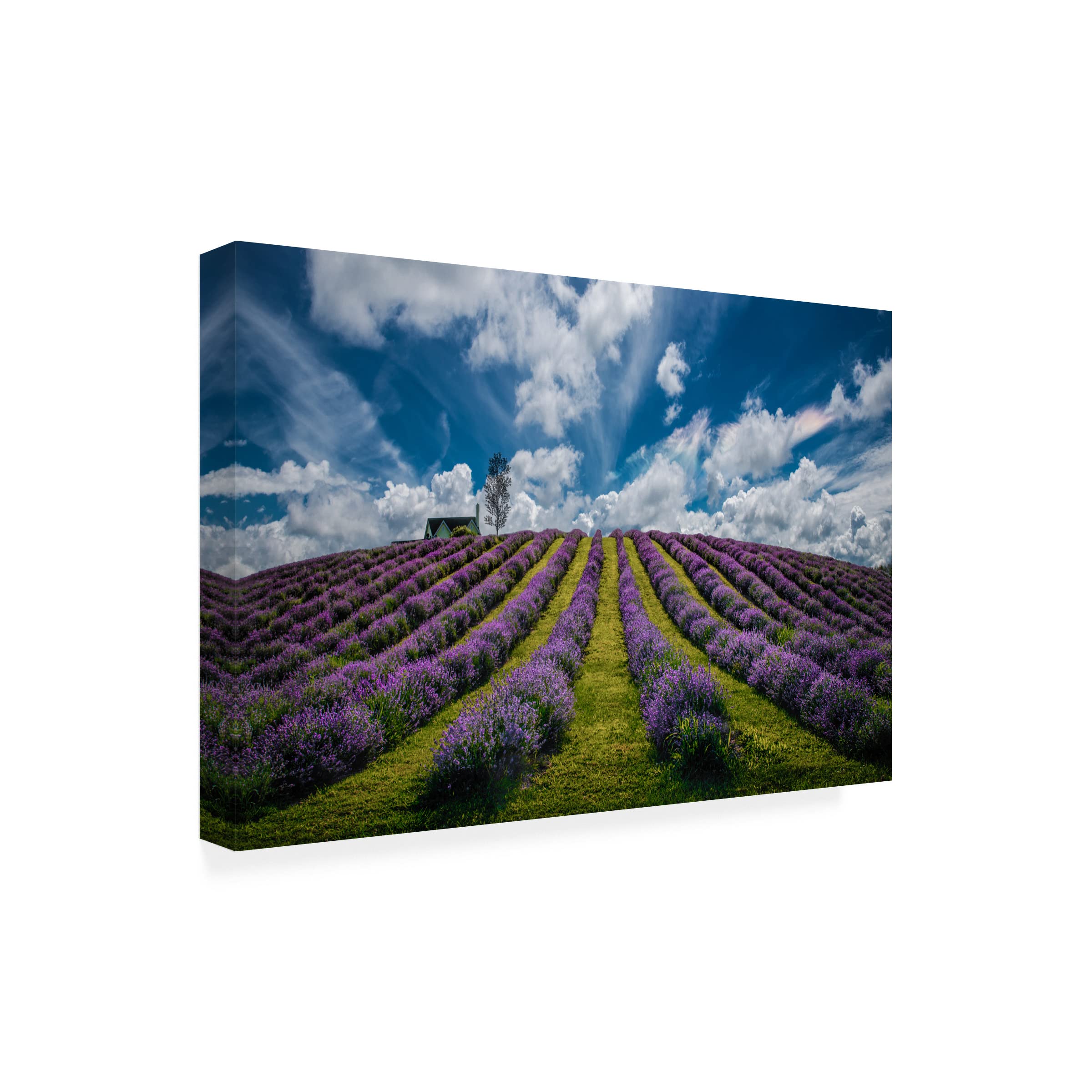 Trademark Fine Art 'Unforgettable Summer' Canvas Wall Art by Zoran Dujic LightHunter - Vibrant Beach Landscape Painting for Living Room, Bedroom & Office Decor