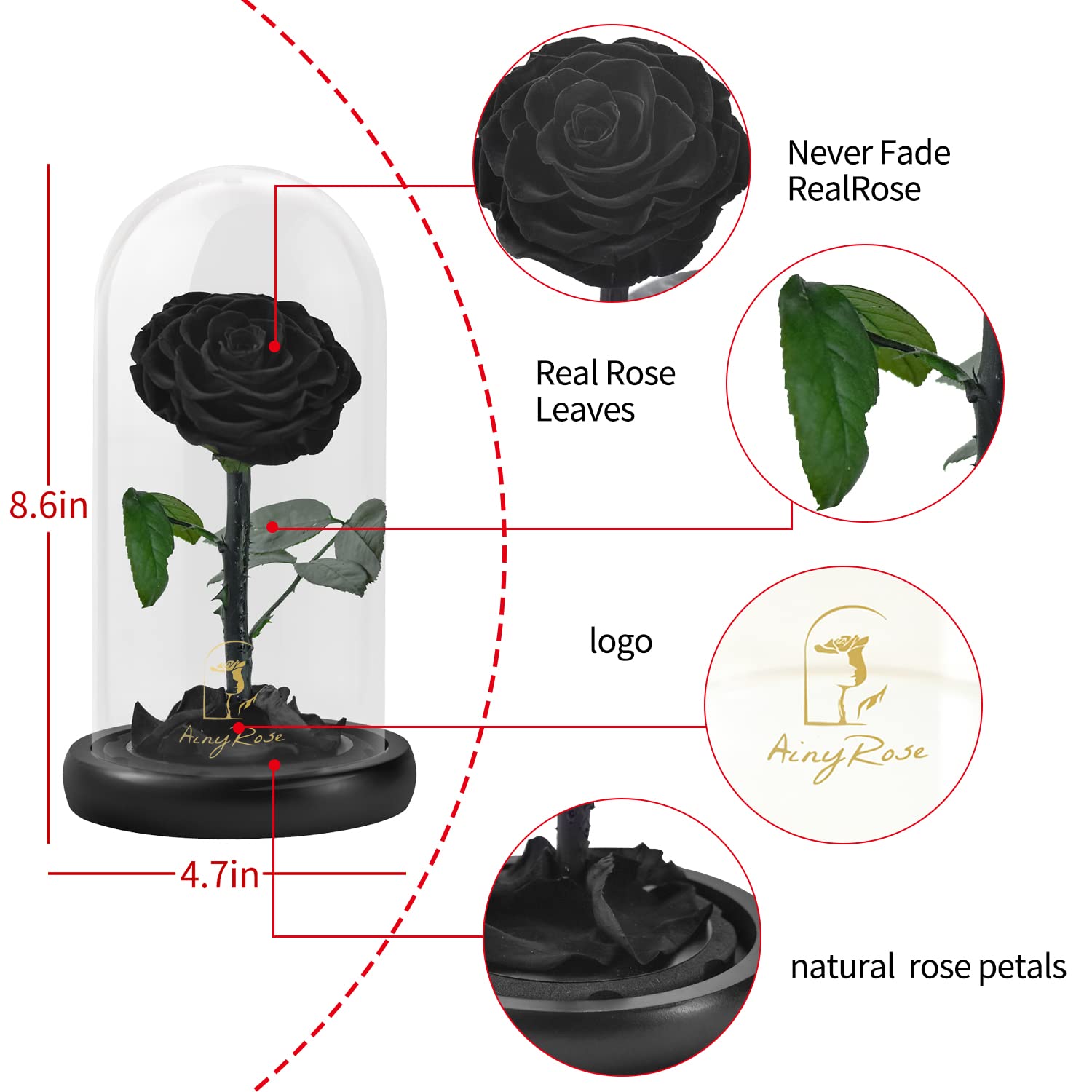 Forever Preserved Real Black Rose in Glass Dome - Eternal Flower Gift for Women, Mom, Valentine's Day, Mother's Day, Christmas & Anniversary | Romantic Home Decor & Thoughtful Present