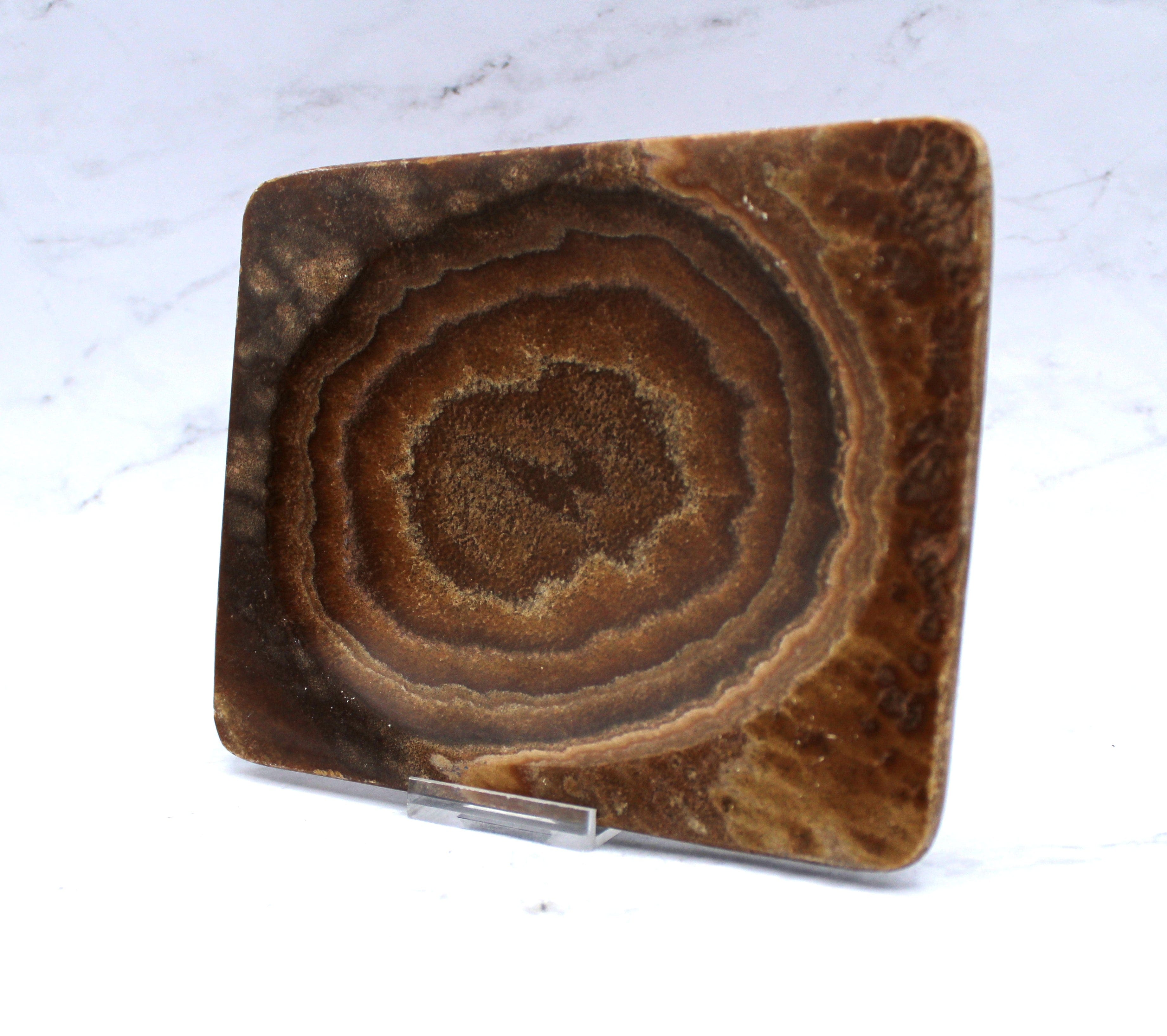 Premium Aragonite Dish 6