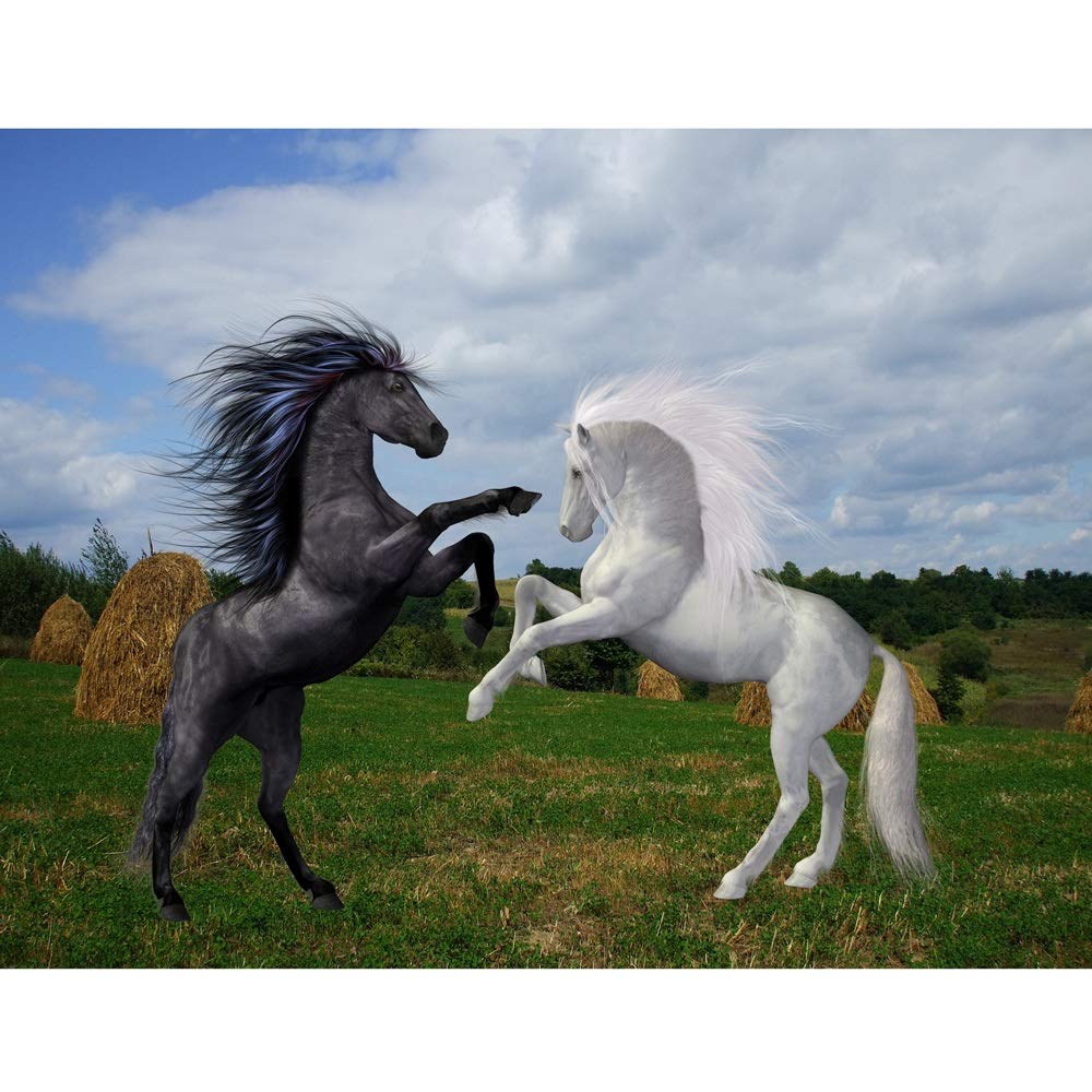 500-6000 Piece Black & White Horse Ranch Jigsaw Puzzle for Adults & Kids - Challenging Family Game Night Activity (4000-Piece Premium Edition) | Perfect for Home Decor, Birthday Gifts & Stress Relief