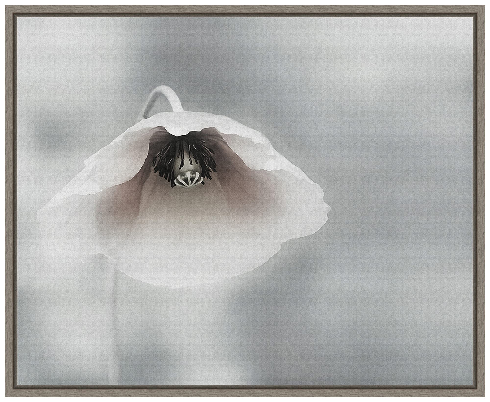 Amanti Art Framed Canvas Wall Art Print - Ephemeral Beauty by Piet Flour, 20x16 Inches, Sylvie Greywash Frame - Perfect for Living Room, Bedroom & Office Decor
