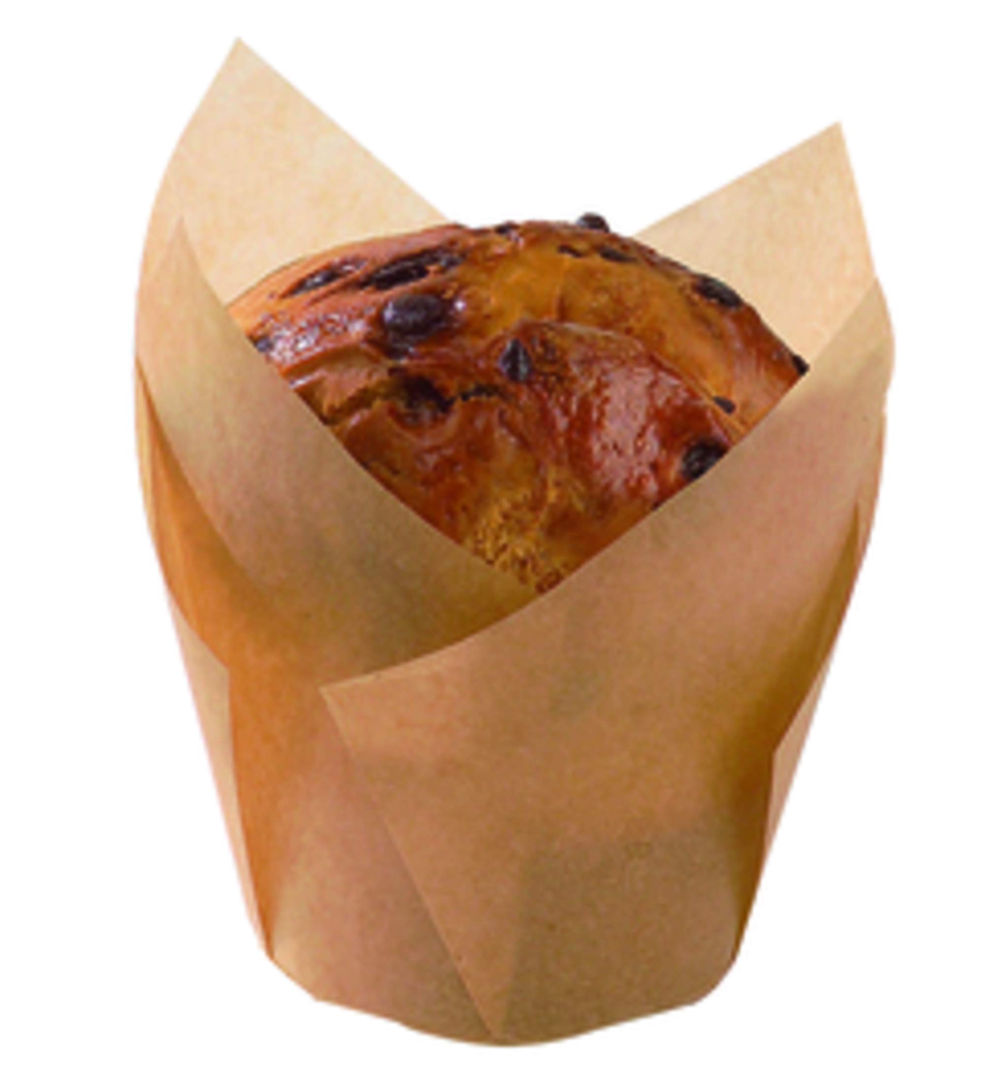 PacknWood 209CPST3M Brown Tulip Baking Cups – 3oz (1.5