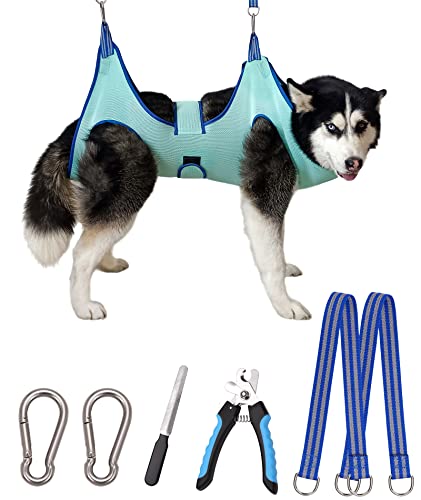 XX-Large 65 LB Max/Turquoise