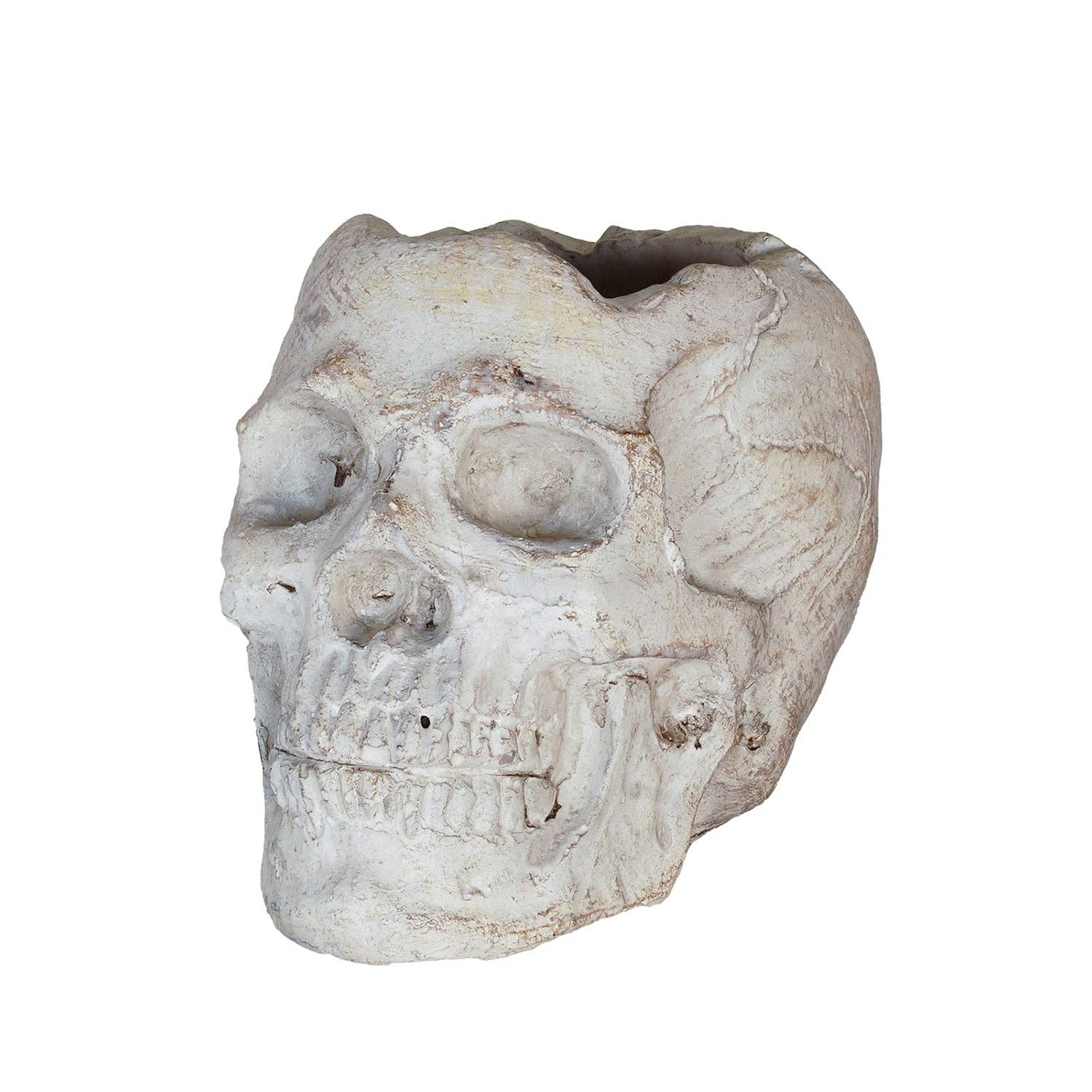 Concrete Memento Mori Skull - Gothic Home Decor, Meditation & Yoga Room Accent, Halloween Decoration, Unique Gift for Men & Women