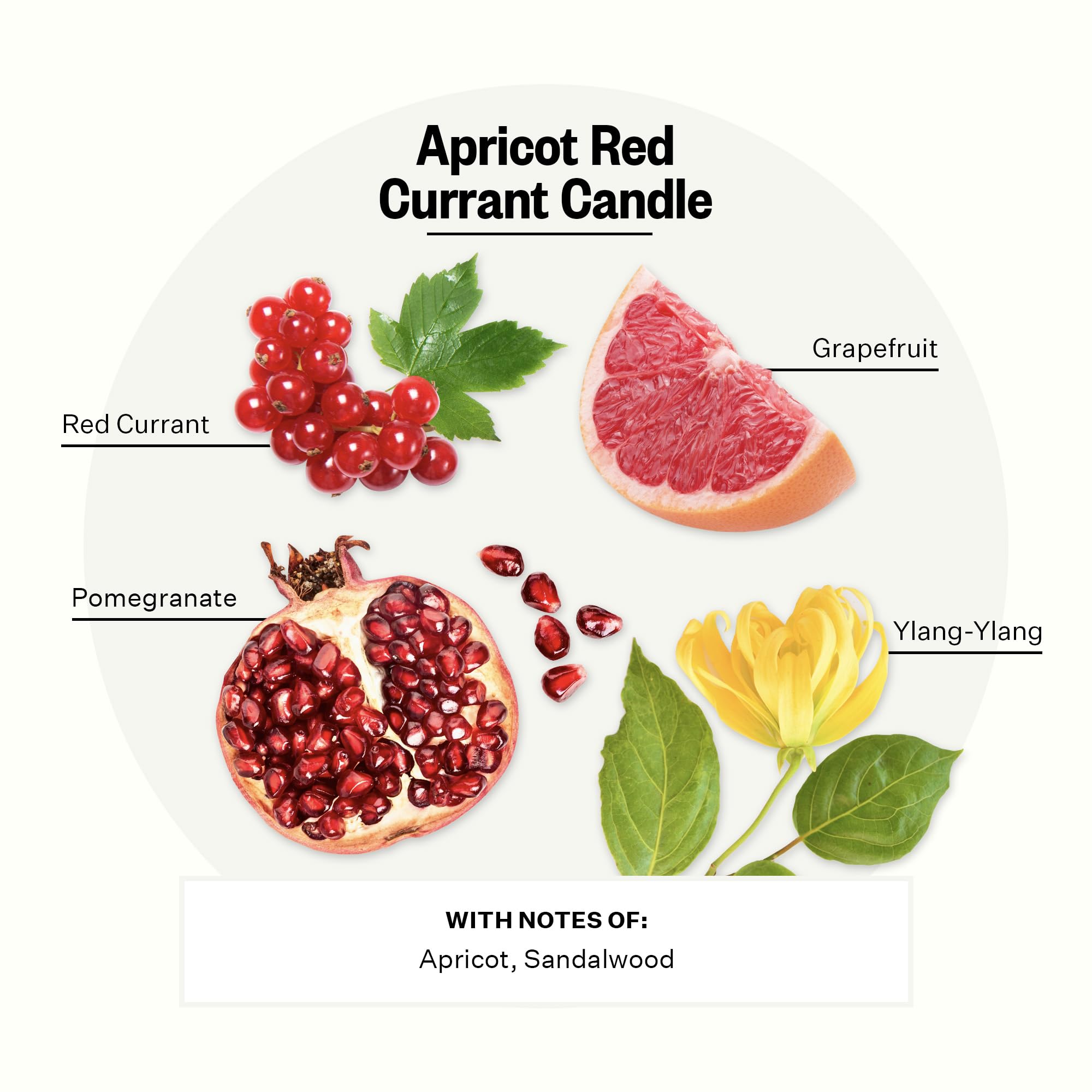 Apotheke 3-Wick Scented Soy Wax Candle - 26oz Long-Lasting Home Fragrance (120-140 Hours) with Apricot Red Currant, Grapefruit, Pomegranate & Sandalwood Notes - Perfect for Living Room, Bedroom, Bathroom & Relaxation