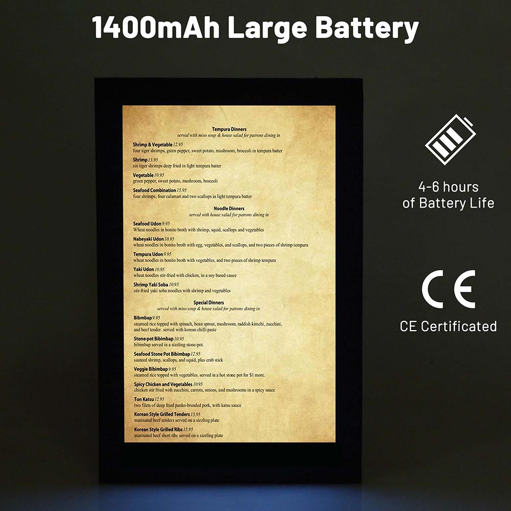TheLAShop LED Check Presenter - 8.5