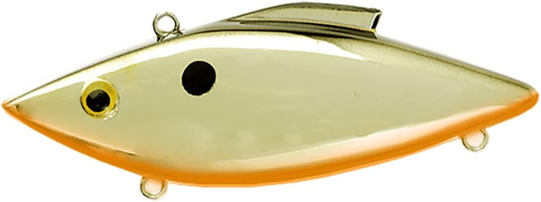 Gold Black with Orange Belly