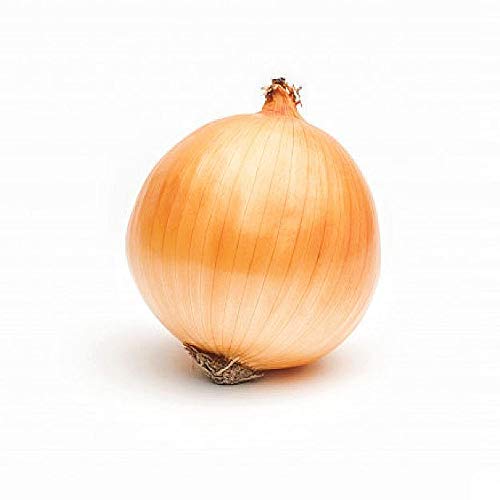 Fresh Gold Pearl Onions 10 Ounce (Pack of 3) - Premium Cooking Onions for Salads, Soups & Gourmet Dishes - Kejora Brand