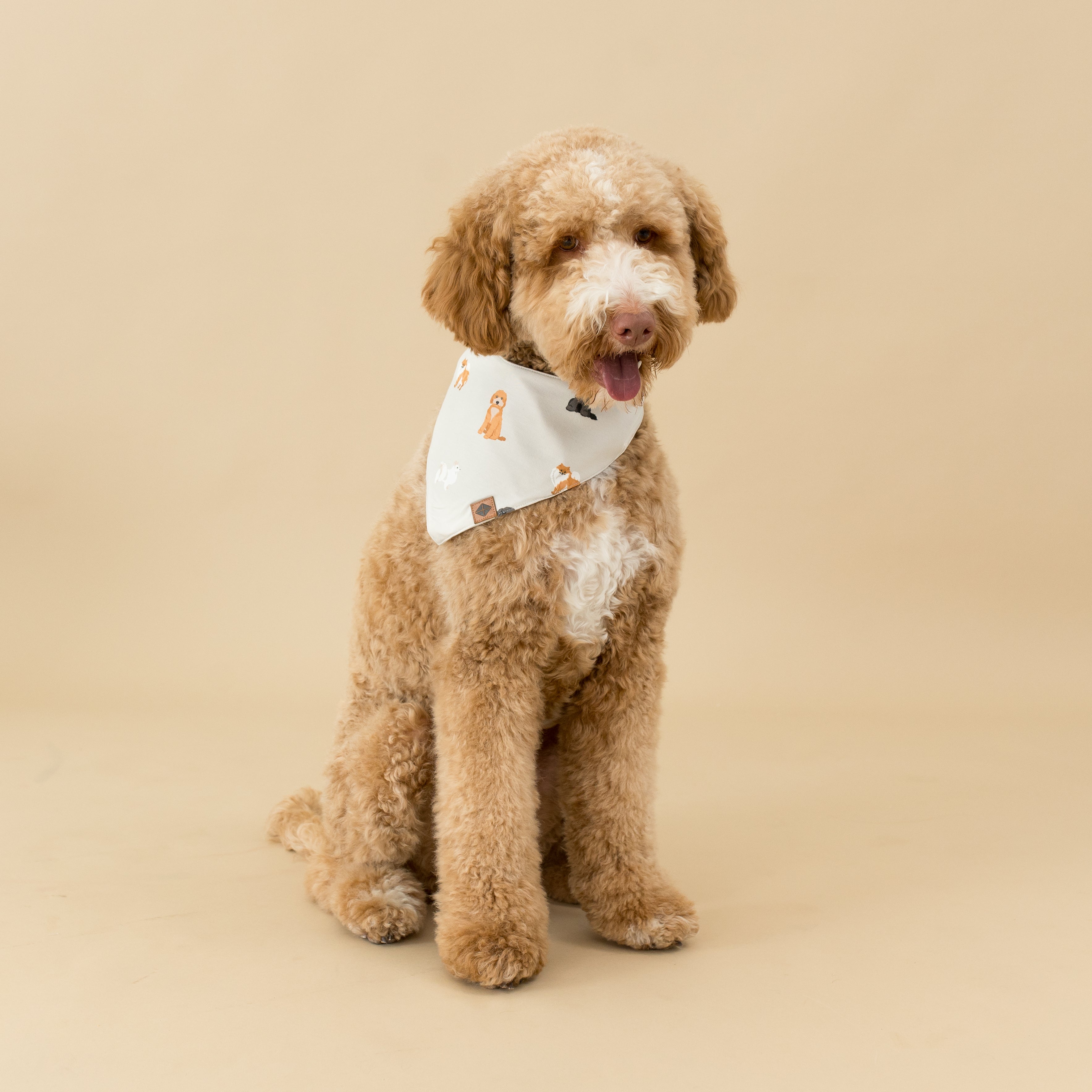 Fluffy Dog Bandana for Small & Medium Dogs - Cute Pet Bandanas for Daily Walks & Special Occasions