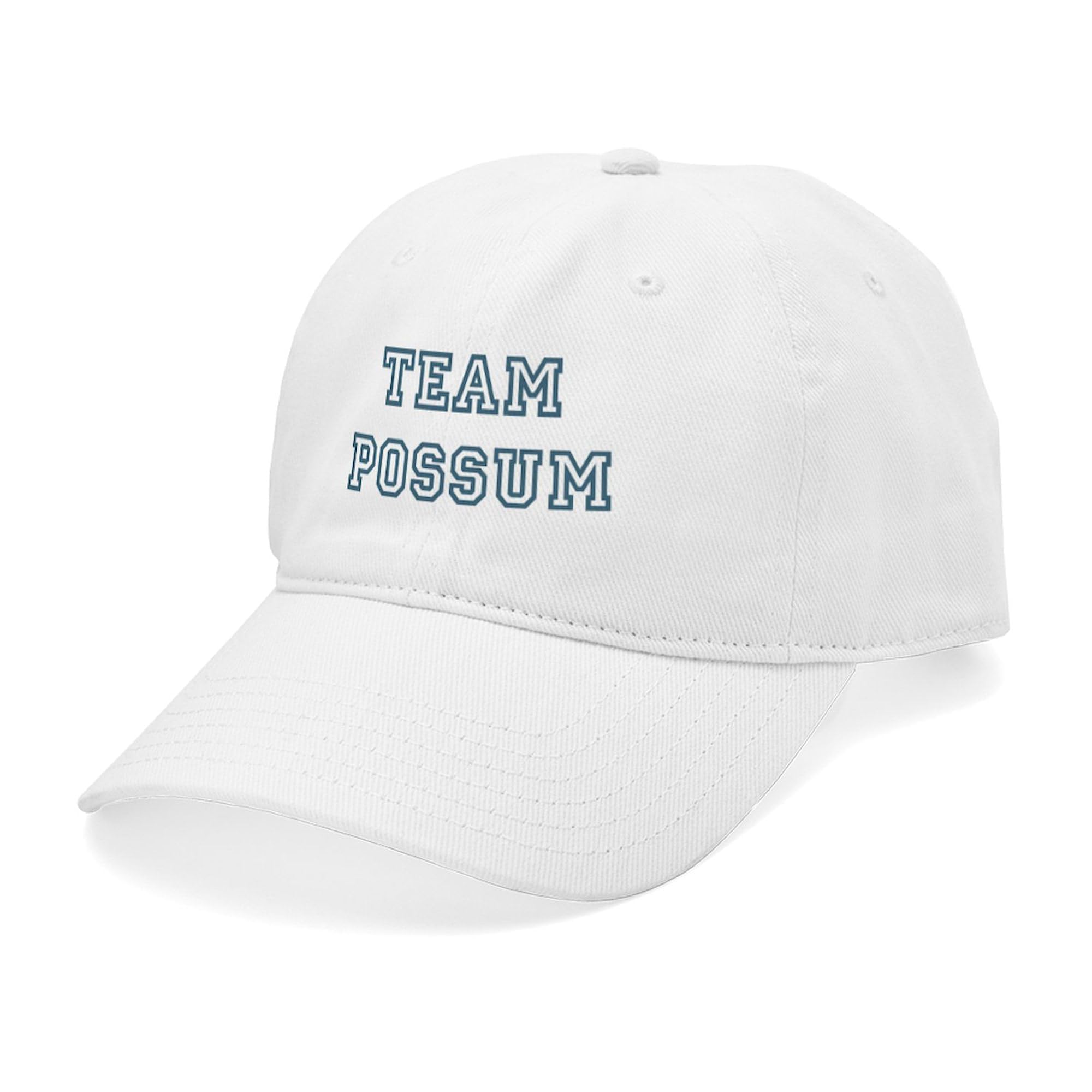 CNN Oval Cap Adjustable Baseball Hat - Embroidered Logo, One Size Fits Most, Comfortable Cotton Twill - Perfect for Sports, Outdoor Activities & Casual Wear