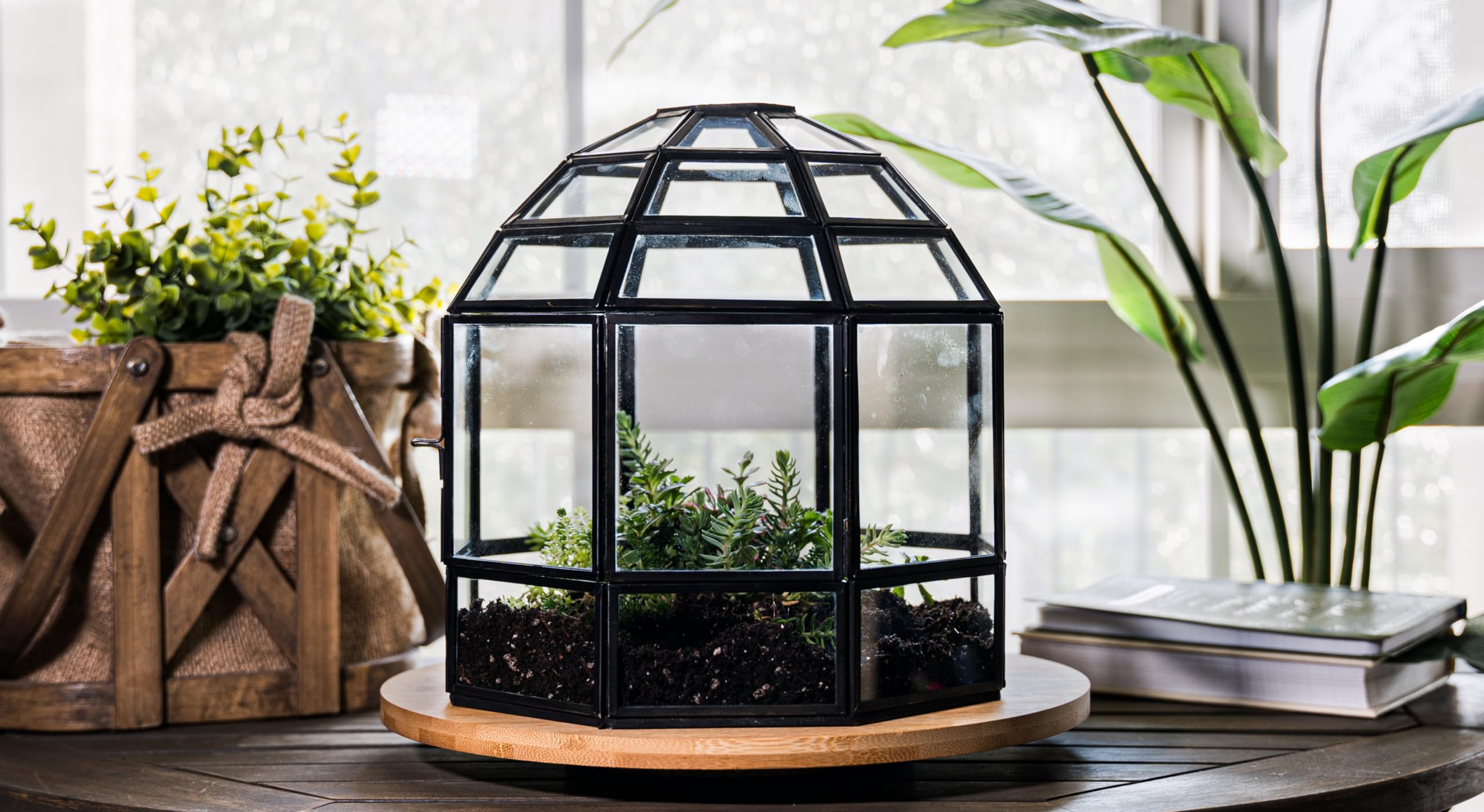 Handmade Large Glass Terrarium for Birds & Plants - 10