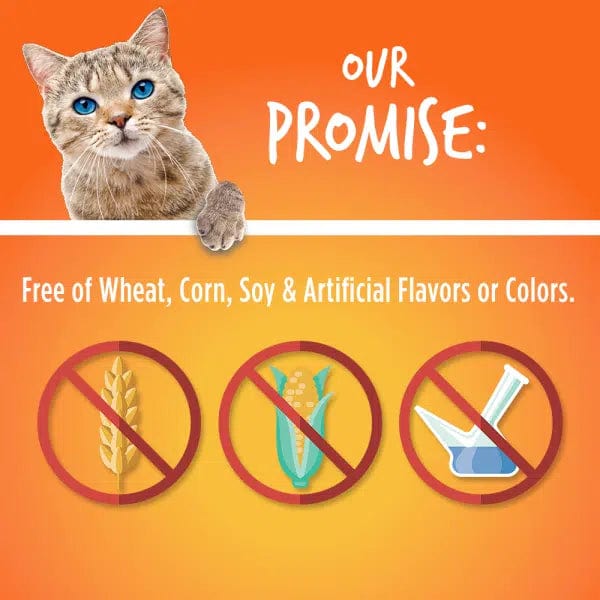 Fruitables Tuna Flavor with Pumpkin Cat Treats - Healthy Natural Snacks for Cats - Perfect for Training, Rewards & Indoor Playtime